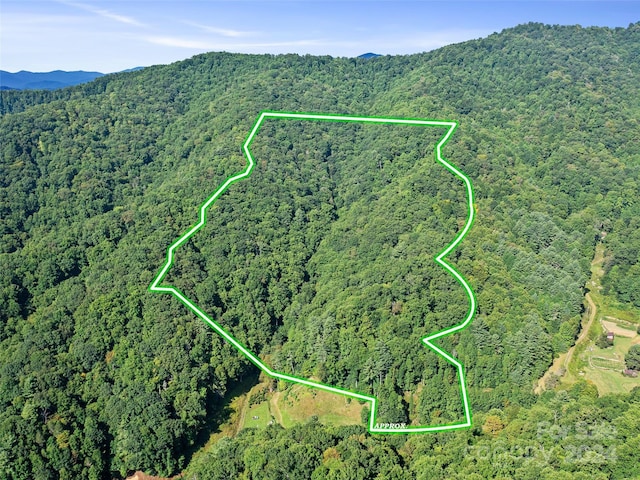 000 Byrd Creek Rd, Green Mountain, NC 28740 - photo 3