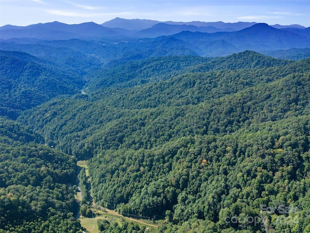 000 Byrd Creek Rd, Green Mountain, NC 28740 - photo 4