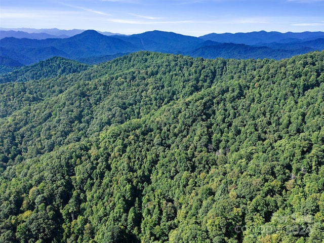 000 Byrd Creek Rd, Green Mountain, NC 28740 - photo 16