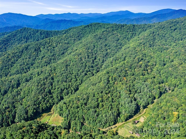 000 Byrd Creek Rd, Green Mountain, NC 28740 - photo 17