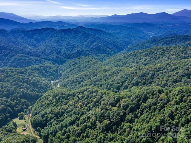 000 Byrd Creek Rd, Green Mountain, NC 28740 - photo 18