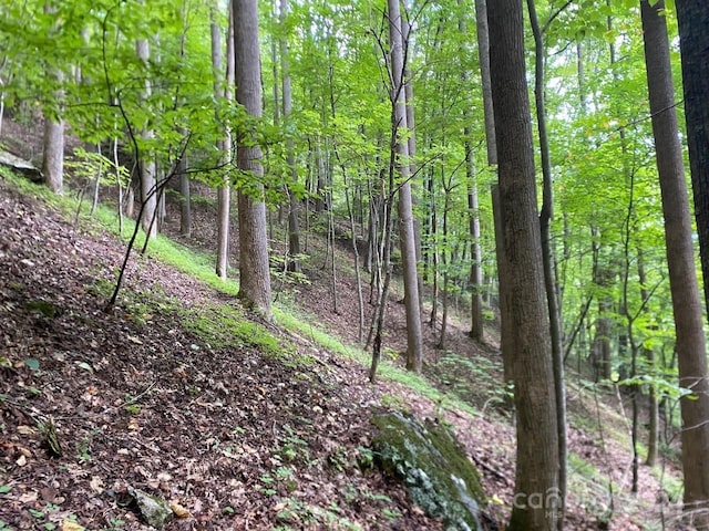000 Byrd Creek Rd, Green Mountain, NC 28740 - photo 5