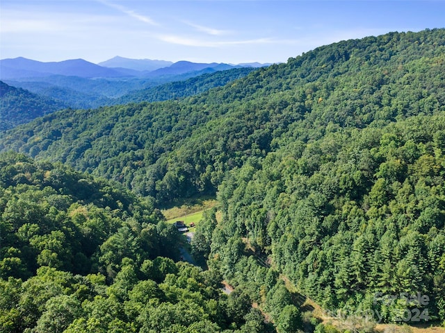 000 Byrd Creek Rd, Green Mountain, NC 28740 - photo 8