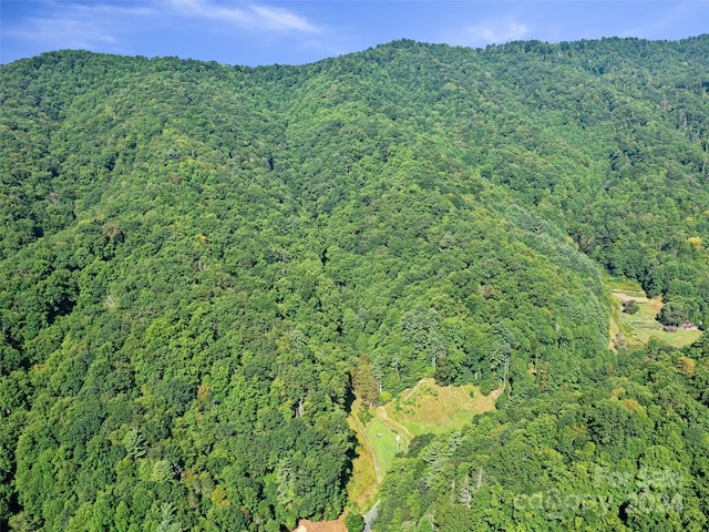 000 Byrd Creek Rd, Green Mountain, NC 28740 - photo 10