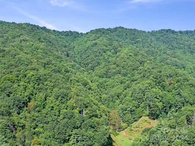 000 Byrd Creek Rd, Green Mountain, NC 28740 - photo 11