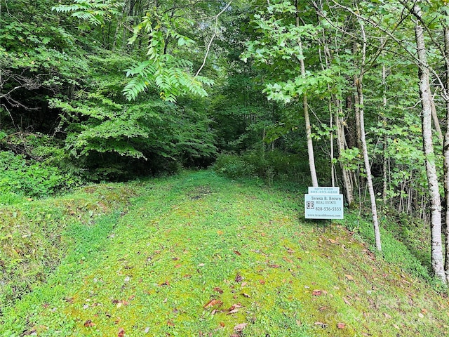 000 Byrd Creek Rd, Green Mountain, NC 28740 - photo 13