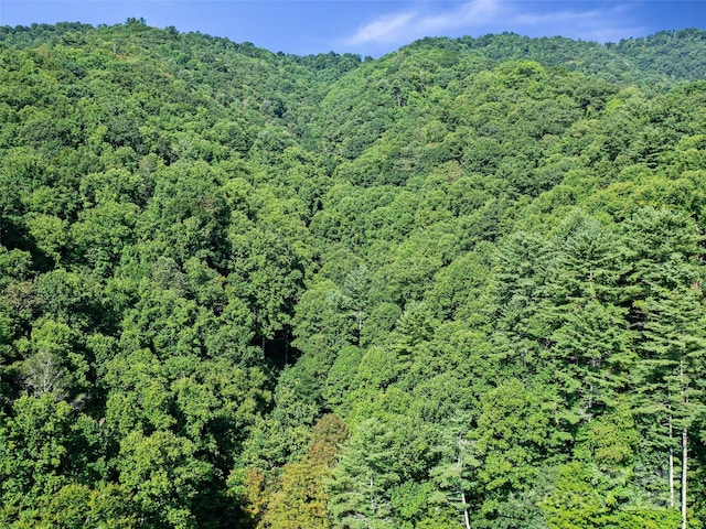 000 Byrd Creek Rd, Green Mountain, NC 28740 - photo 14