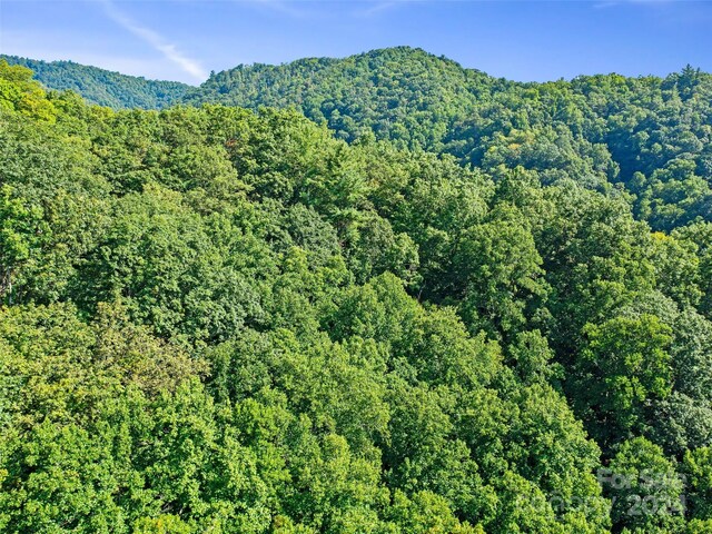 000 Byrd Creek Rd, Green Mountain, NC 28740 - photo 15