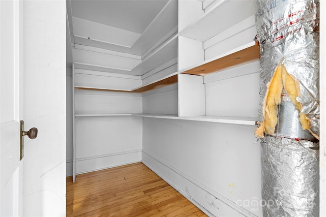 walk in closet featuring wood-type flooring