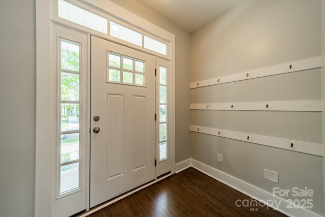 entryway featuring dark hardwood / wood-style flooring