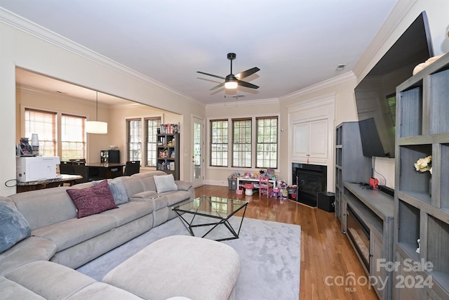 living room with ceiling fan, crown molding, and hardwood / wood-style floors