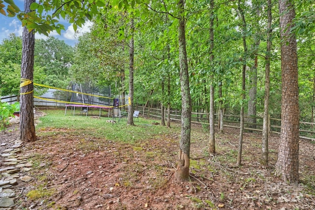 view of yard featuring a trampoline