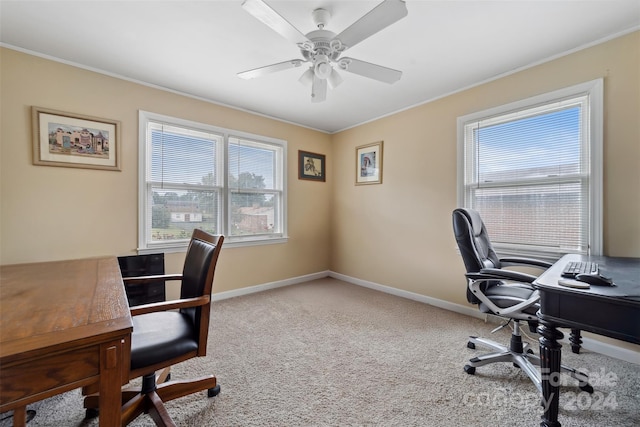 carpeted office space featuring ceiling fan and ornamental molding