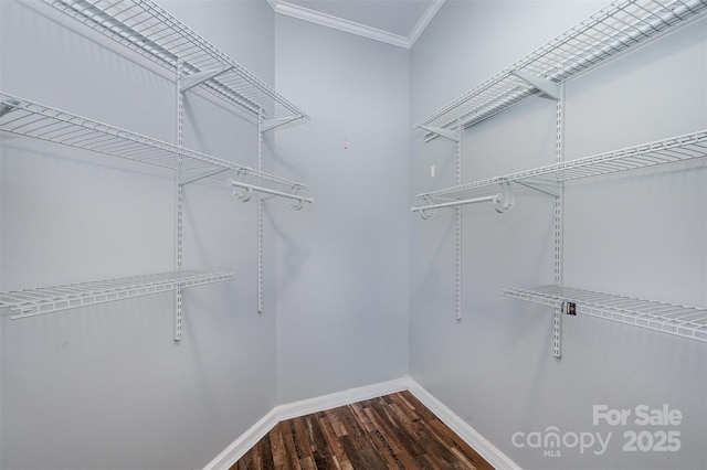 spacious closet with hardwood / wood-style floors