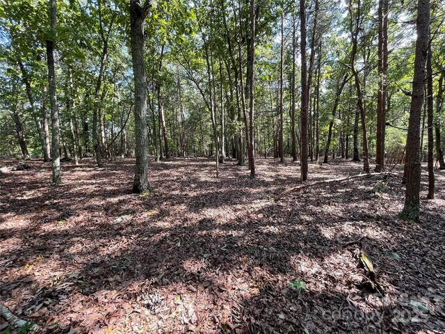 135 Deep Water Ct Unit 136Ph9, New London, NC 28127