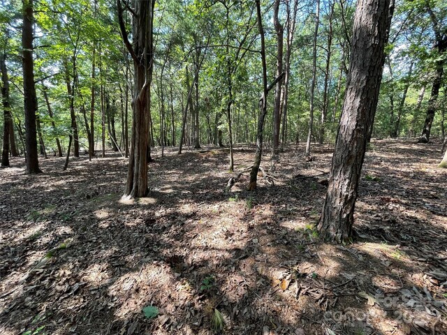 135 Deep Water Ct Unit 136Ph9, New London, NC 28127
