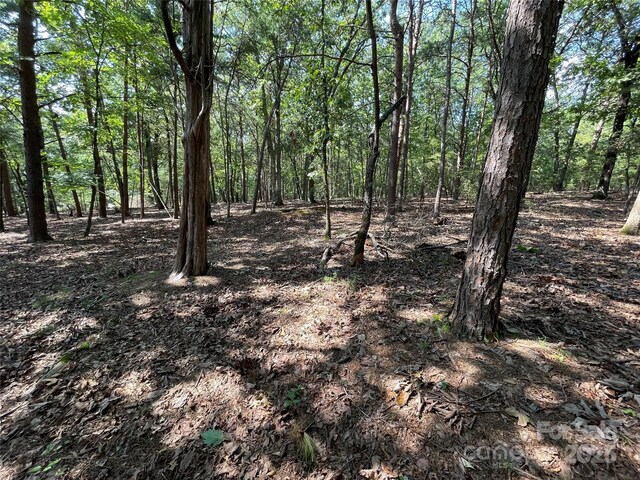 135 Deep Water Ct Unit 136Ph9, New London, NC 28127