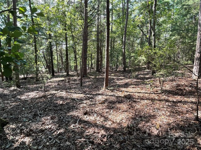 135 Deep Water Ct Unit 136Ph9, New London, NC 28127