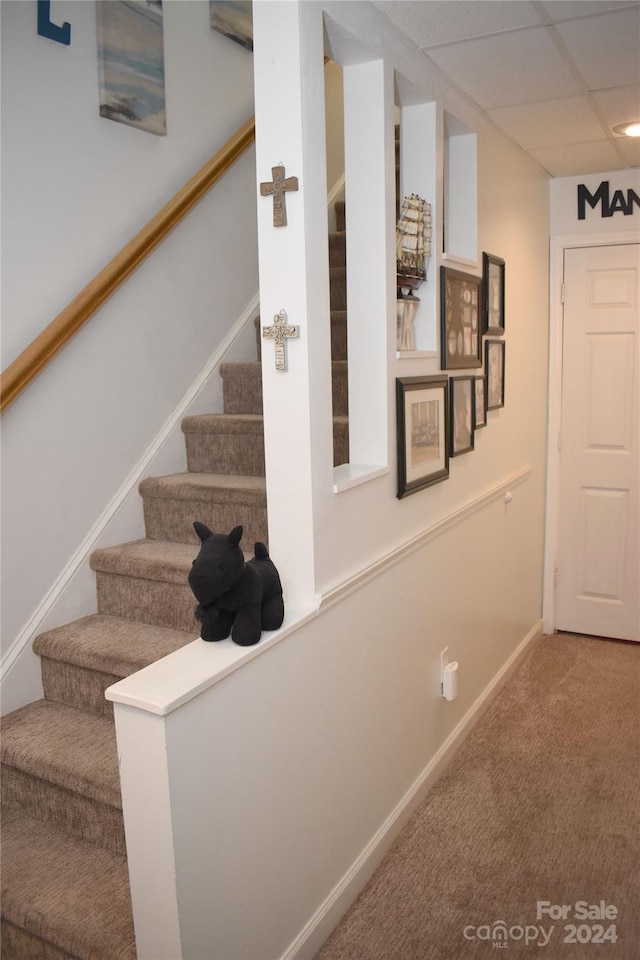 stairway with carpet