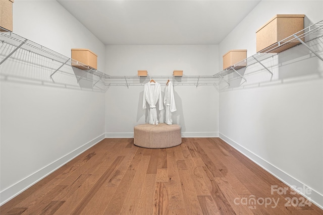 spacious closet featuring wood-type flooring