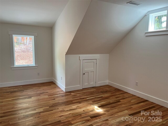 additional living space with hardwood / wood-style floors, plenty of natural light, and lofted ceiling