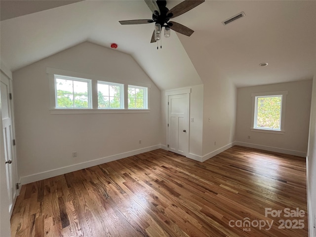 additional living space with hardwood / wood-style floors, a healthy amount of sunlight, and lofted ceiling