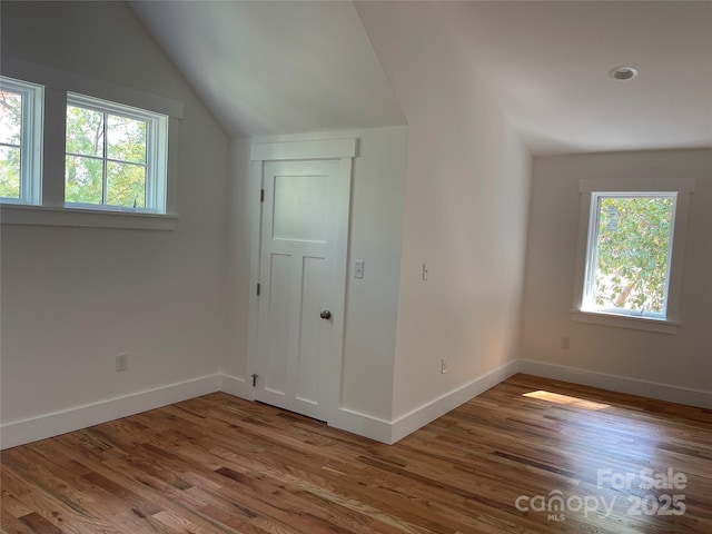 additional living space with vaulted ceiling and hardwood / wood-style flooring