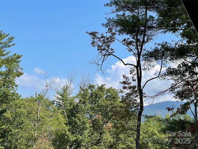 view of landscape featuring a mountain view