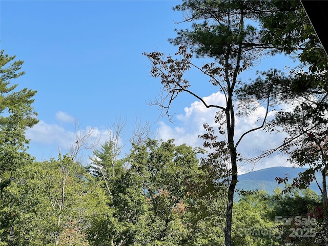 71 Crossings Cir, Fairview, NC 28730 - view of mountain background