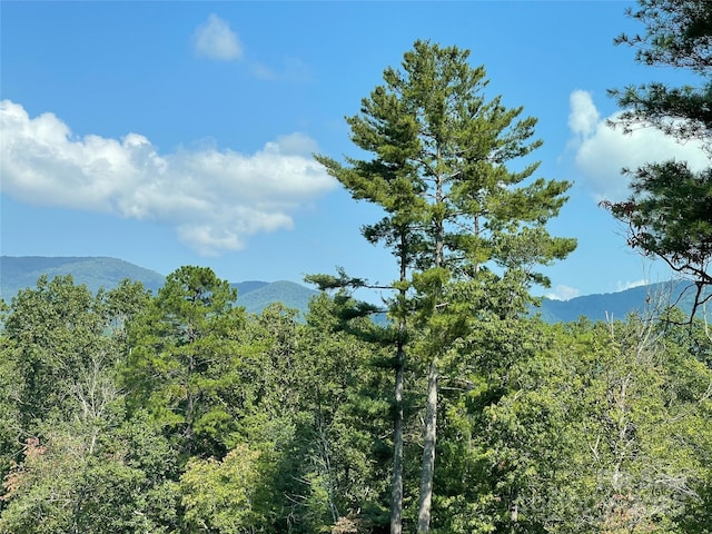 view of mountain feature