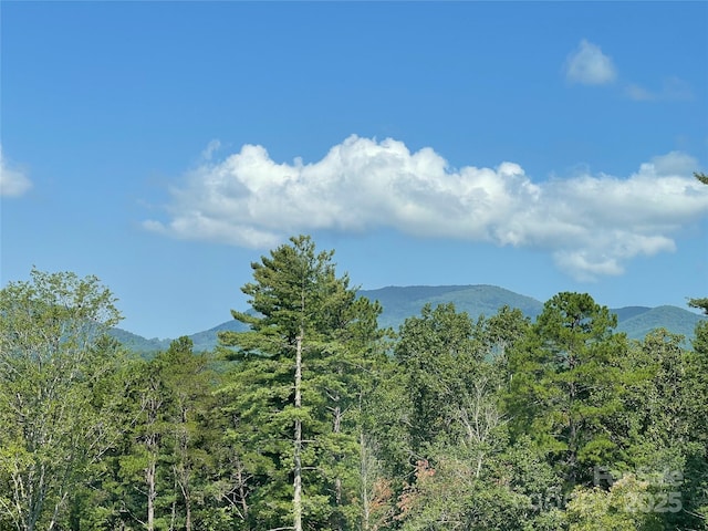 71 Crossings Cir, Fairview, NC 28730 - view of mountain backdrop featuring a heavily wooded area