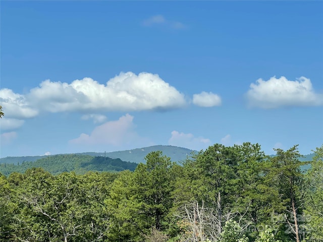 view of mountain feature