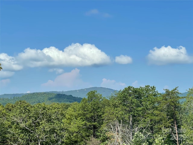71 Crossings Cir, Fairview, NC 28730 - mountain view featuring a forest