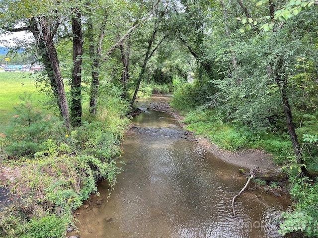 view of local wilderness