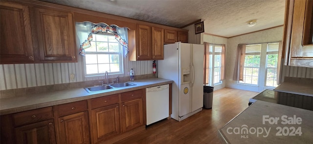 kitchen with white appliances, a healthy amount of sunlight, vaulted ceiling, and sink