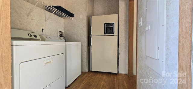 laundry area with electric panel, dark hardwood / wood-style floors, and separate washer and dryer