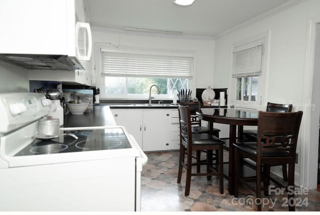 kitchen with ornamental molding, sink, white cabinets, and white appliances