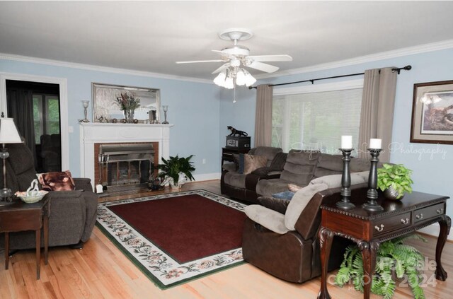 living room with ceiling fan, a healthy amount of sunlight, ornamental molding, and light hardwood / wood-style flooring