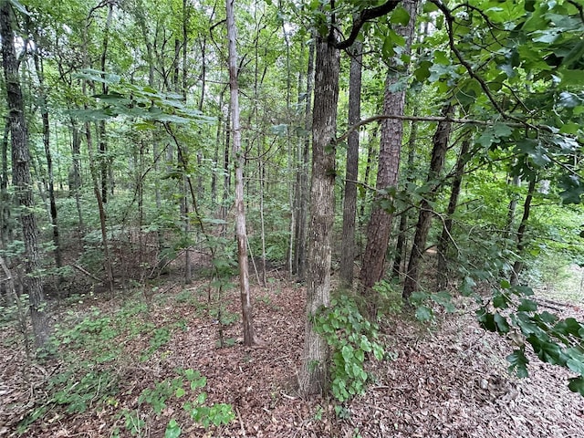 9200 Pinenoll Ln, Charlotte, NC 28215
