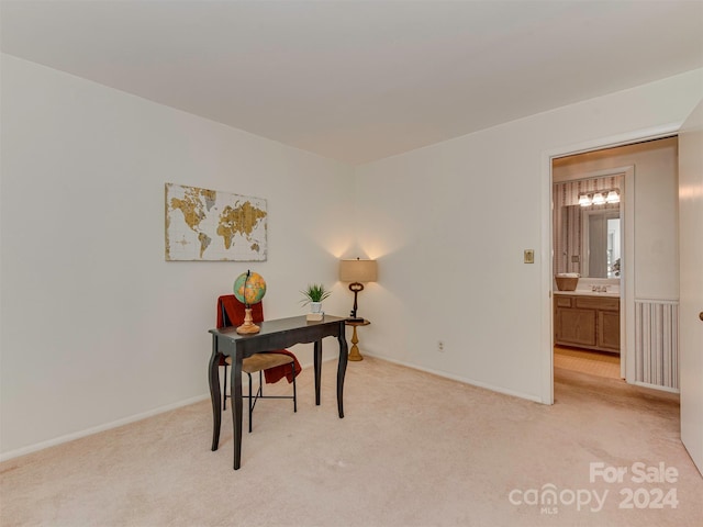 office featuring light colored carpet