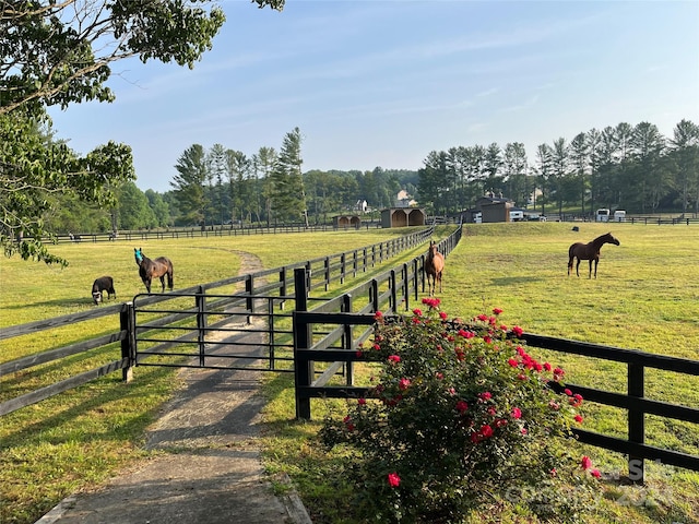 view of gate featuring a rural view