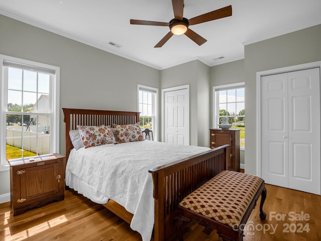 bedroom featuring multiple closets, crown molding, ceiling fan, and light hardwood / wood-style floors