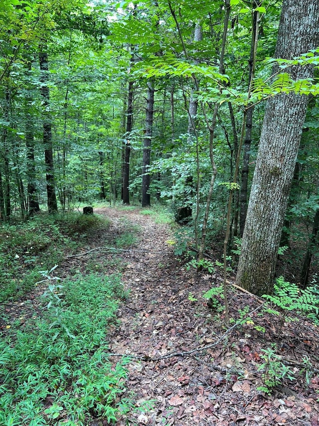 645 Tunnel Road 157 & 158, Marion, NC 28752 - photo 1
