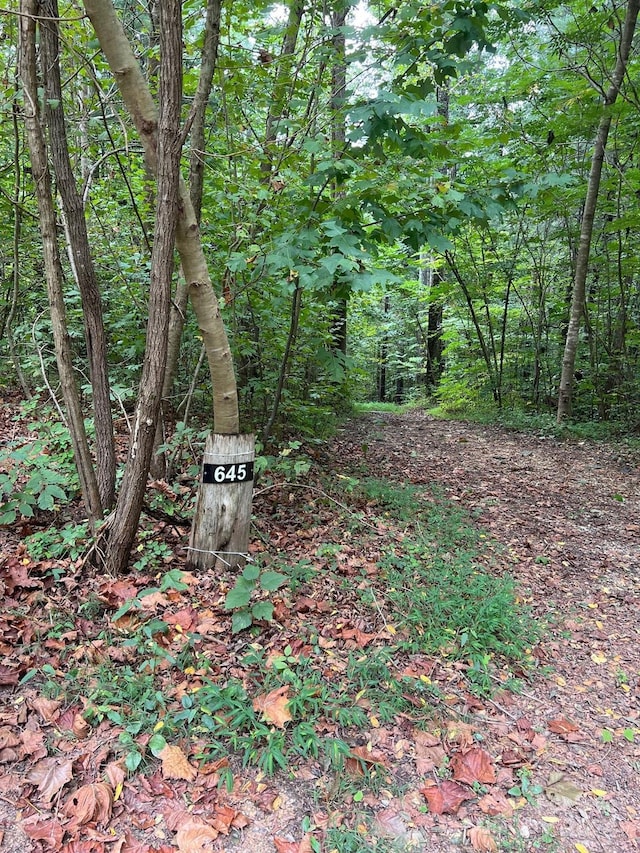 645 Tunnel Road 157 & 158, Marion, NC 28752 - photo 2