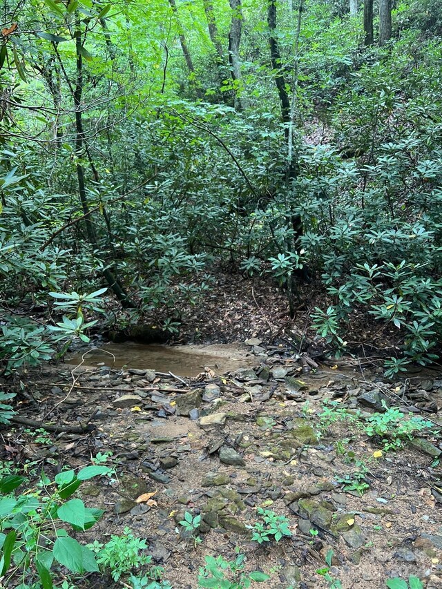 645 Tunnel Road 157 & 158, Marion, NC 28752 - photo 3