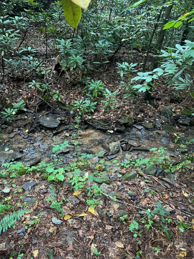 645 Tunnel Road 157 & 158, Marion, NC 28752 - photo 5