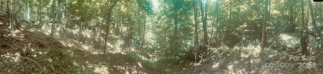 000 Chimney Log Rd, Marshall, NC 28753 - photo 1