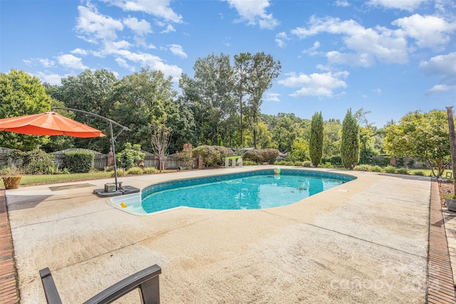 view of swimming pool featuring a patio area, fence, and a fenced in pool