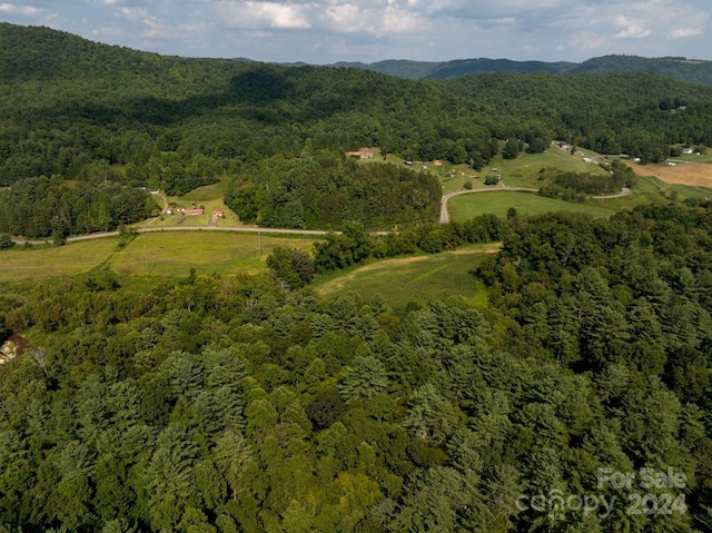 bird's eye view featuring a mountain view