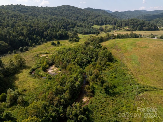 drone / aerial view featuring a mountain view